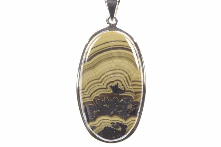 Polished Schalenblende Pendant (Necklace) - Sterling Silver #241252